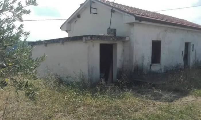 Jaecoo 7: Prezzo, Prova Su Strada E Off-road, Motore - Prove Strada - Auto - Foto 5