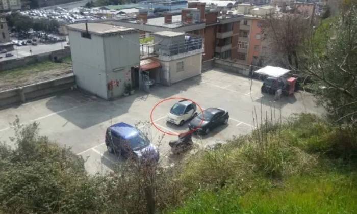 Box garage posto Auto In Affitto In Via Piacenza A Genova Rexer box-garage-posto-auto-in-affitto-in-via-piacenza-a-genova-rexer